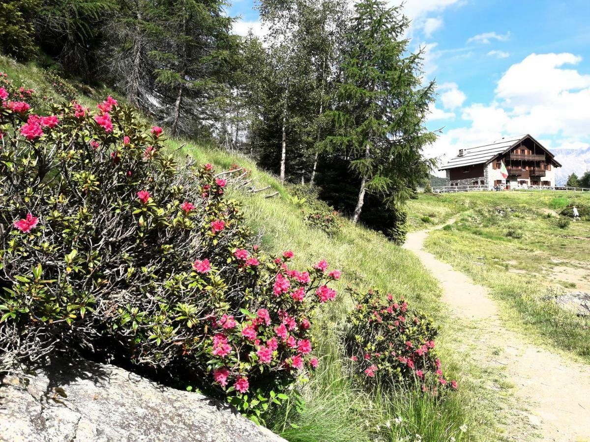 Rifugio Al Lago Del Mortirolo In Inverno Raggiungibile Solo A Piedi Monno Exterior photo